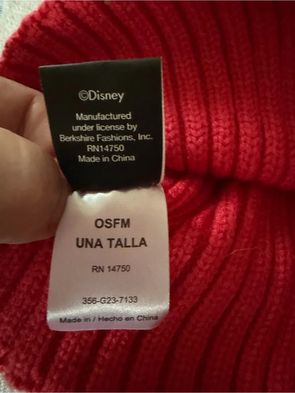 Disney Beanie with Embroidered Mickey